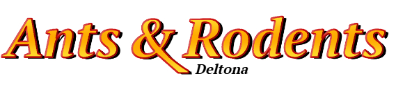 Deltona Ant Exterminator & Rodent Control Company Logo